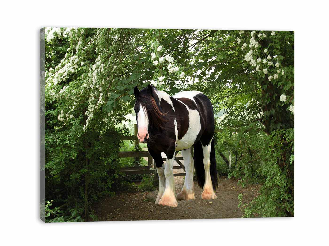 Stable Horse Painting
