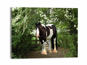 Stable Horse Painting