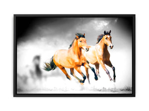 Horse Couple Painiting