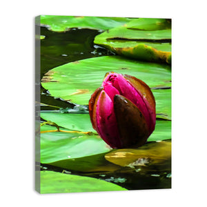 Flower Bud Pond Painting