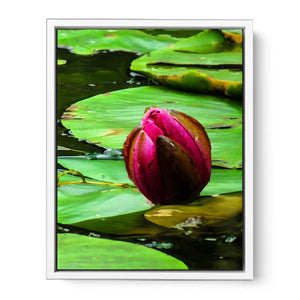 Flower Bud Pond Painting