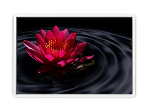 Lily Flower Art Painting