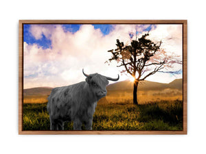 Highland Cow In Farm Painting