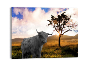 Highland Cow In Farm Painting