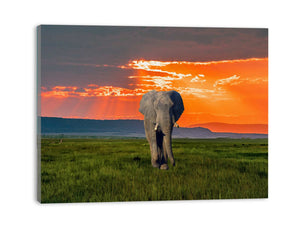 Elephant Art Painting