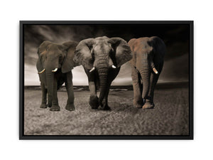 Elephans Painting
