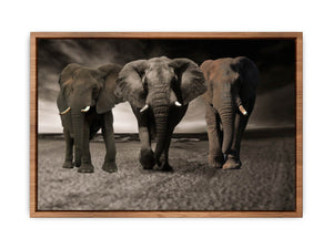 Elephans Painting