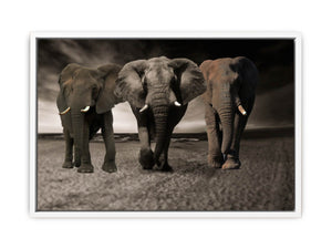 Elephans Painting