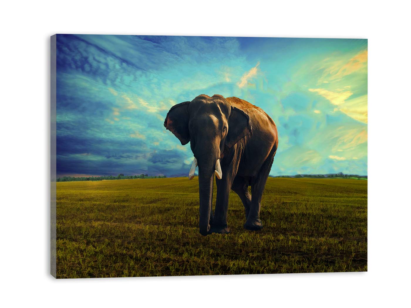 Elephant Painting