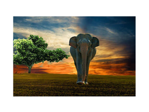Elephant & Tree Painting