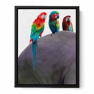 Australian Parrot Painting