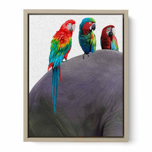 Australian Parrot Painting