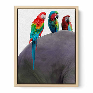 Australian Parrot Painting