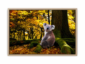 Koala Painting