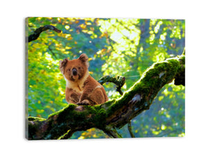 Koala On Tree Painting