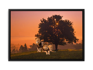 Three Lions Painting