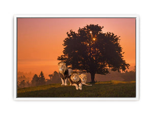 Three Lions Painting