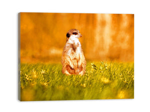 Standing Meerkat Painting