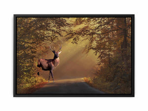 Deer Painting