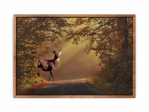 Deer Painting