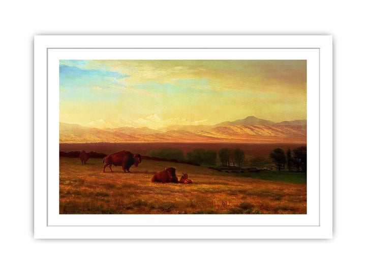 Buffalo on the Plains, c.1890