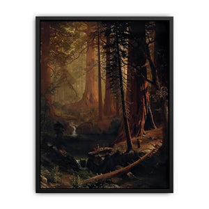 Giant Redwood Trees of California