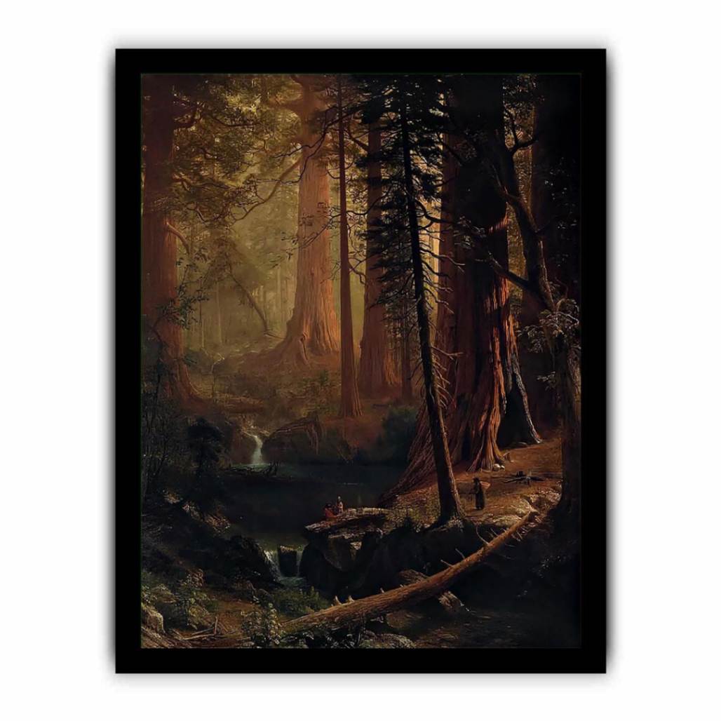 Giant Redwood Trees of California