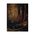 Giant Redwood Trees of California