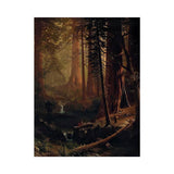 Giant Redwood Trees of California artwork preview