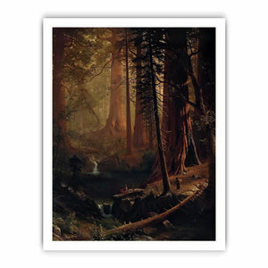 Giant Redwood Trees of California