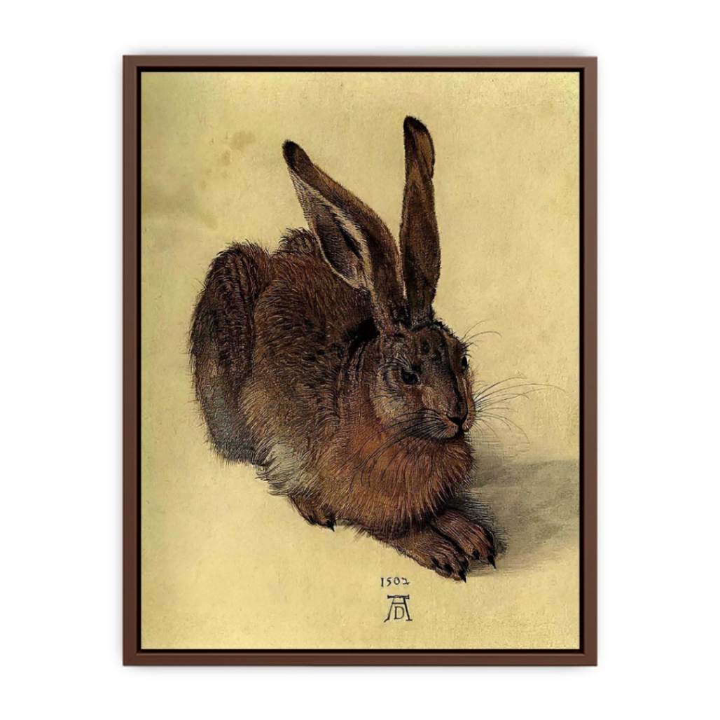 Young Hare I