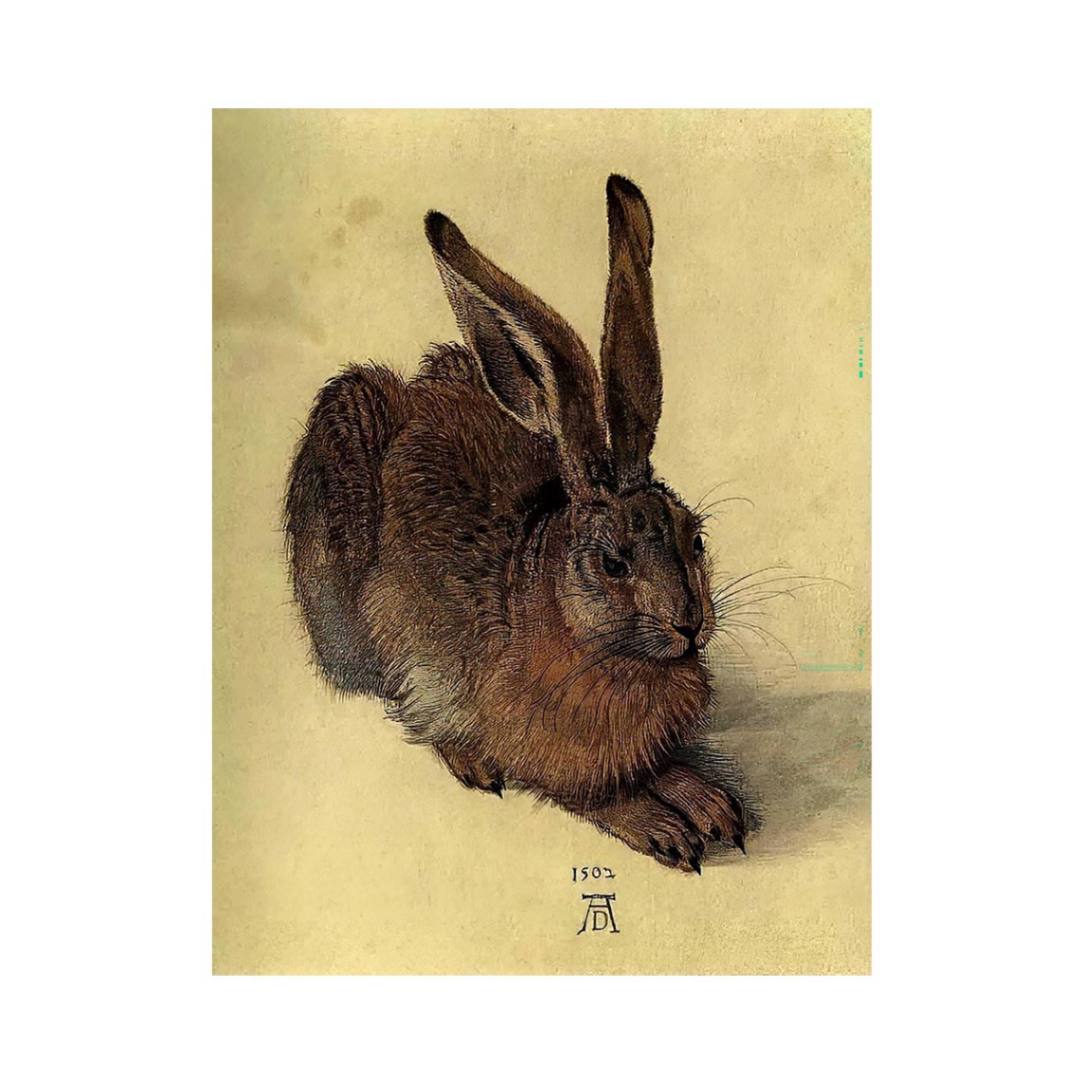 Young Hare I