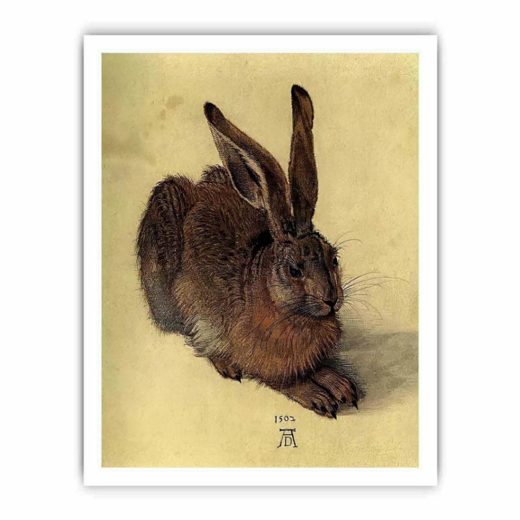 Young Hare I