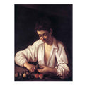 Boy Peeling Fruit Edit this at Wikidata By Caravaggio