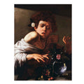 Boy Bitten by a Lizard By Caravaggio