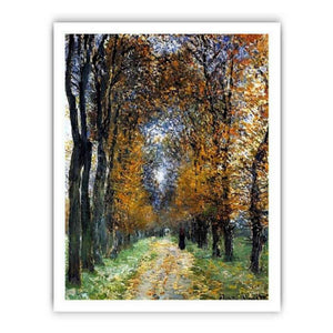 The Avenue