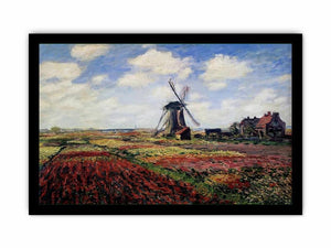 Field Of Tulips In Holland