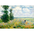 Poppy Field Argenteuil