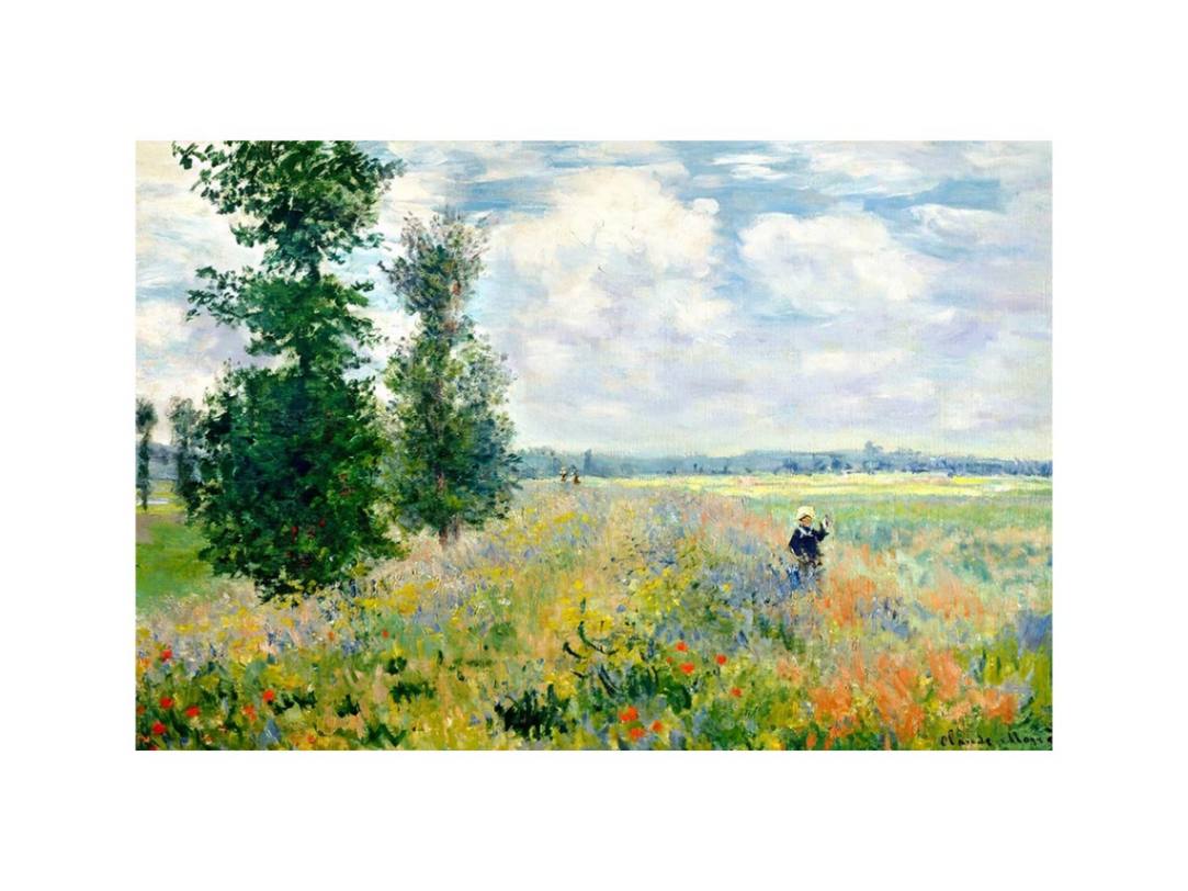 Poppy Field Argenteuil