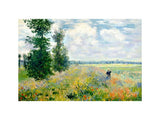 Poppy Field Argenteuil artwork preview