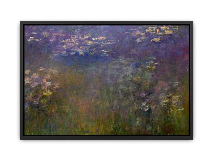 Agapanthus (center panel)