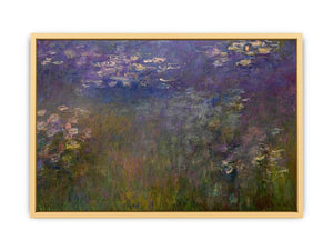 Agapanthus (center panel)