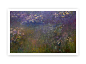 Agapanthus (center panel)