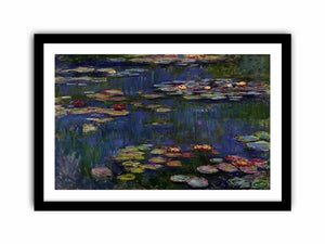 Water Lilies