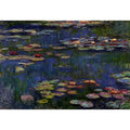 Water Lilies