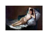 Nude Maja artwork preview