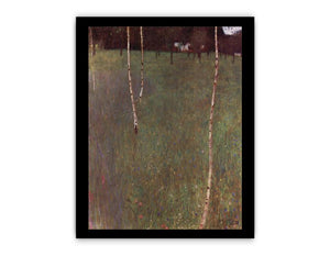 Farmhouse With Birches