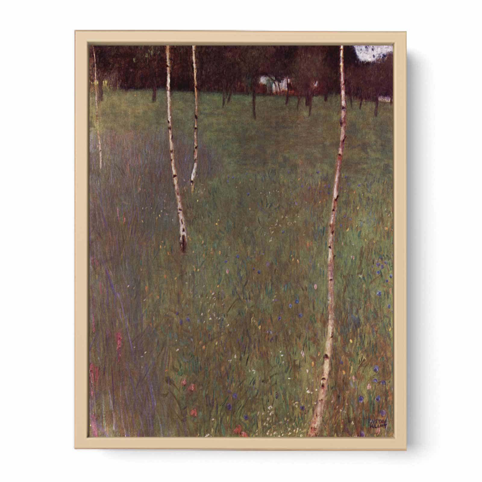 Farmhouse With Birches