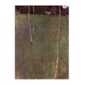 Farmhouse With Birches