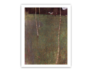 Farmhouse With Birches